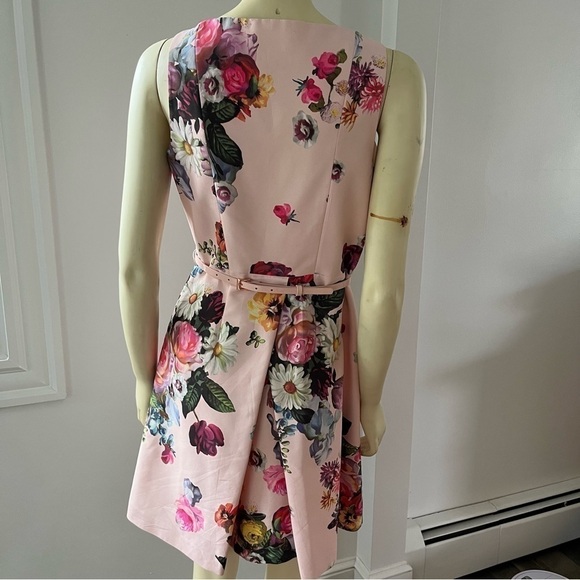Ted BAKER DEAVON WOMEN'S OIL PAINTING Floral Sleeveless Belted DRESS NUDE PINK 6 - Picture 2 of 15